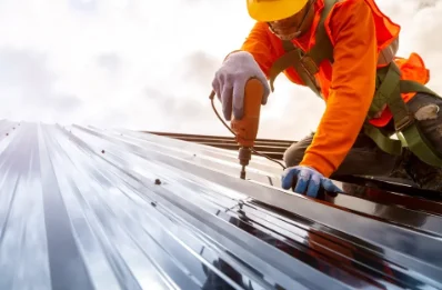 Travaux de zinguerie à Avapessa